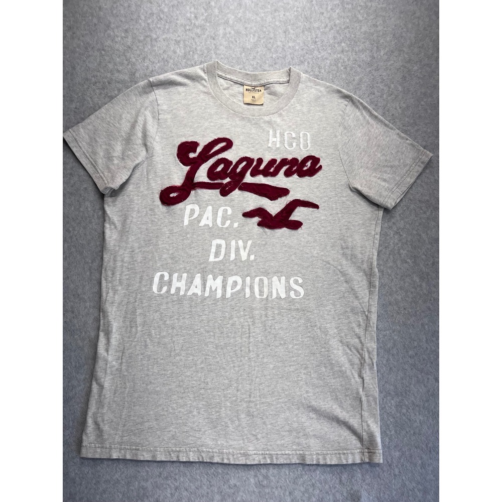 Hollister Y2K Mens XL Gray Laguna Pac Div Champions Chenille Graphic T-Shirt